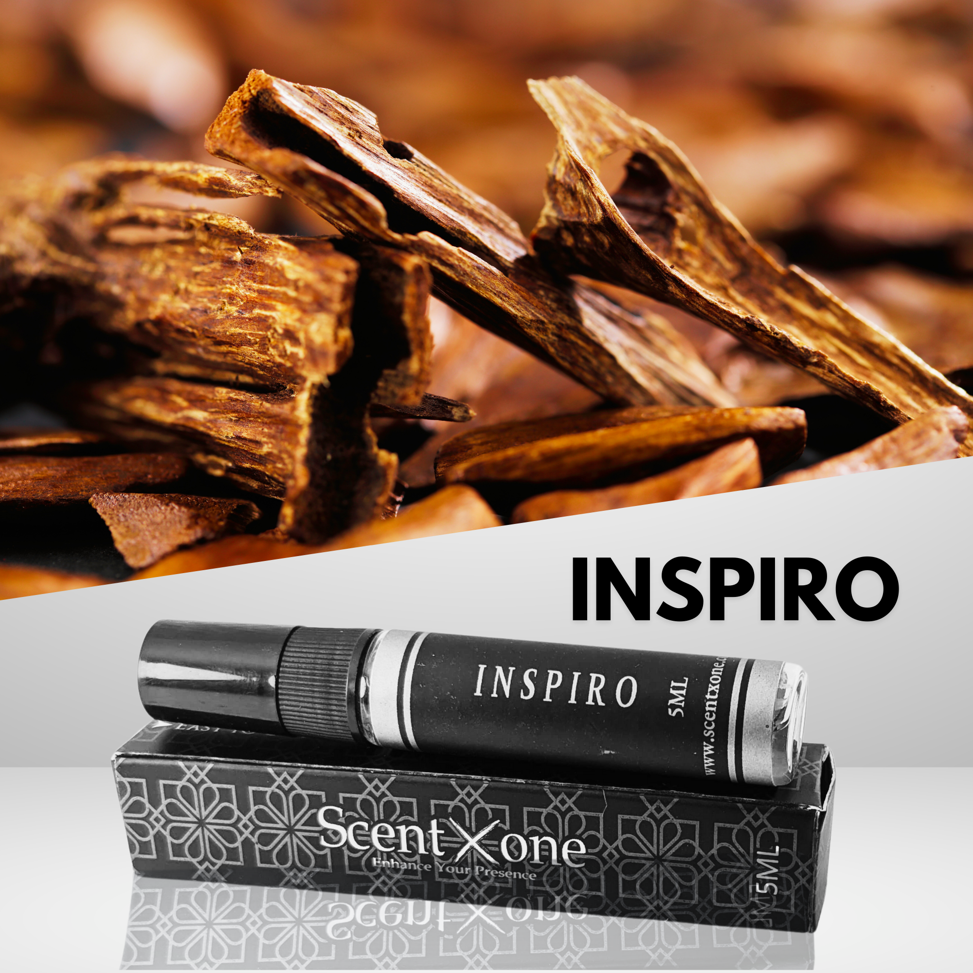 INSPIRO (POCKET FRIENDLY)