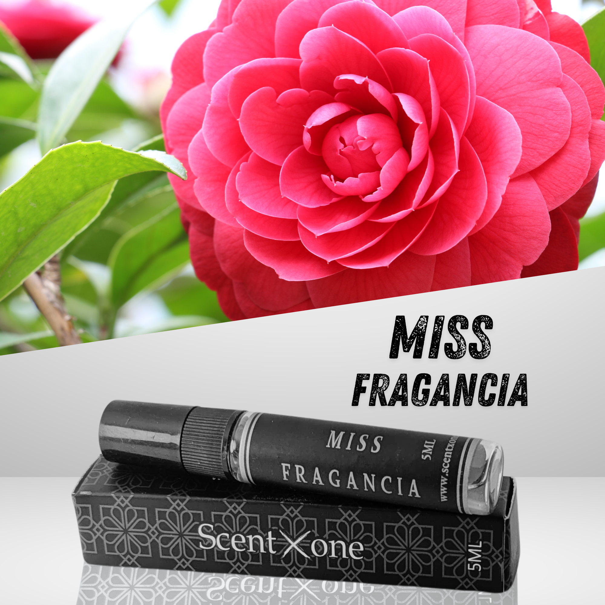 MISS FRAGANCIA (POCKET FRIENDLY)