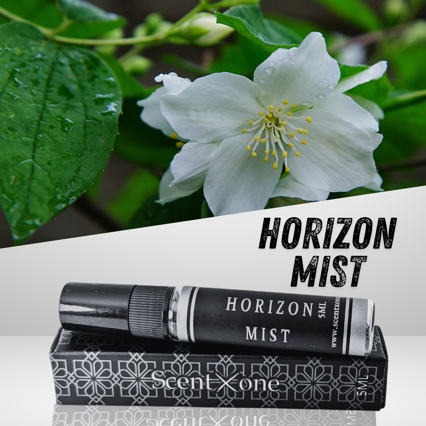 HORIZON MIST (POCKET FRIENDLY)