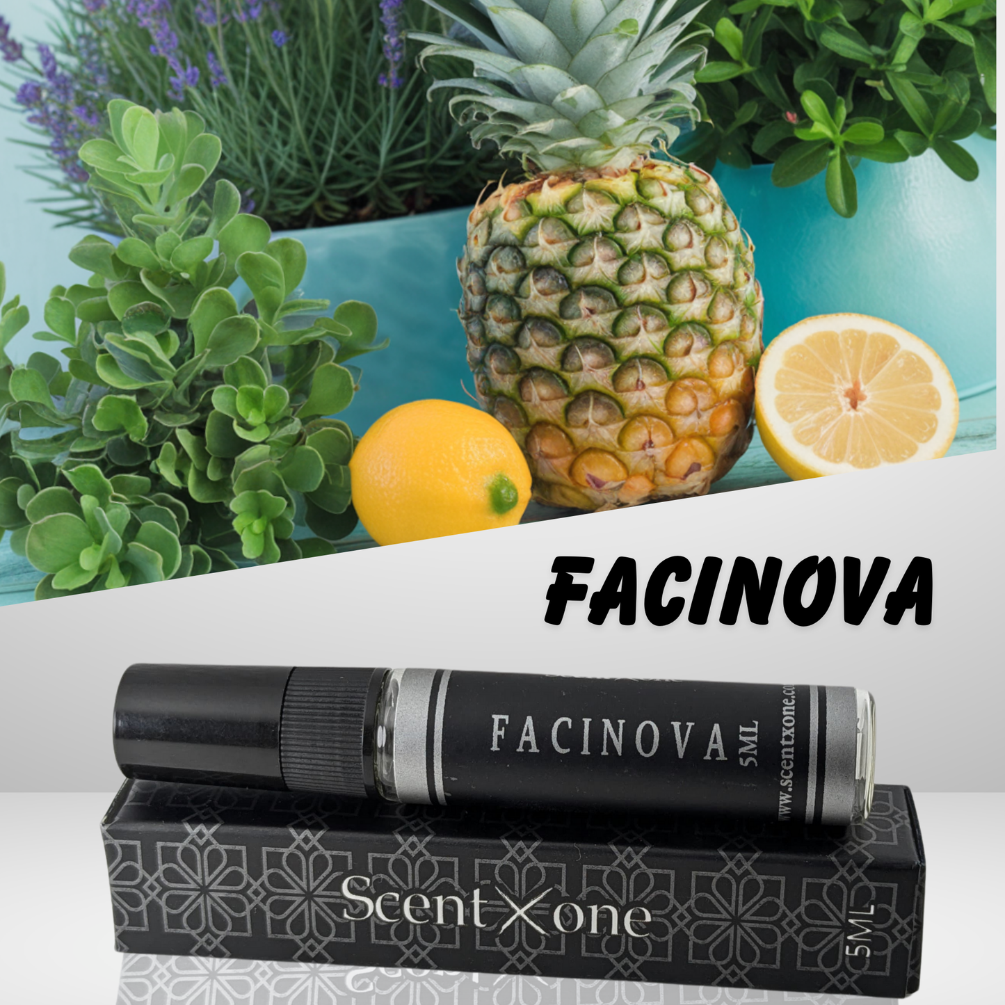 FACINOVA (POCKET FRIENDLY)