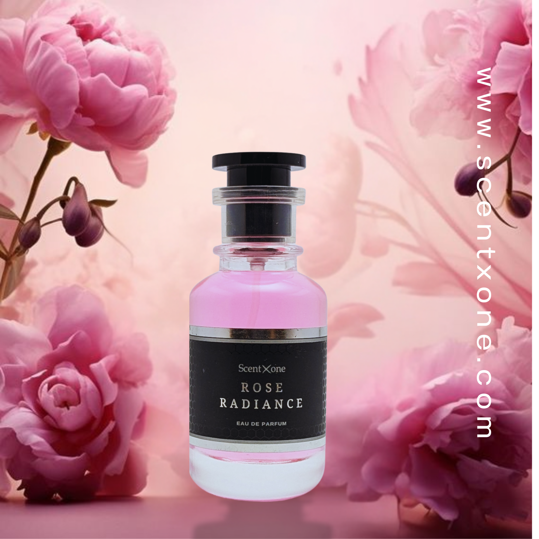 ROSE RADIANCE