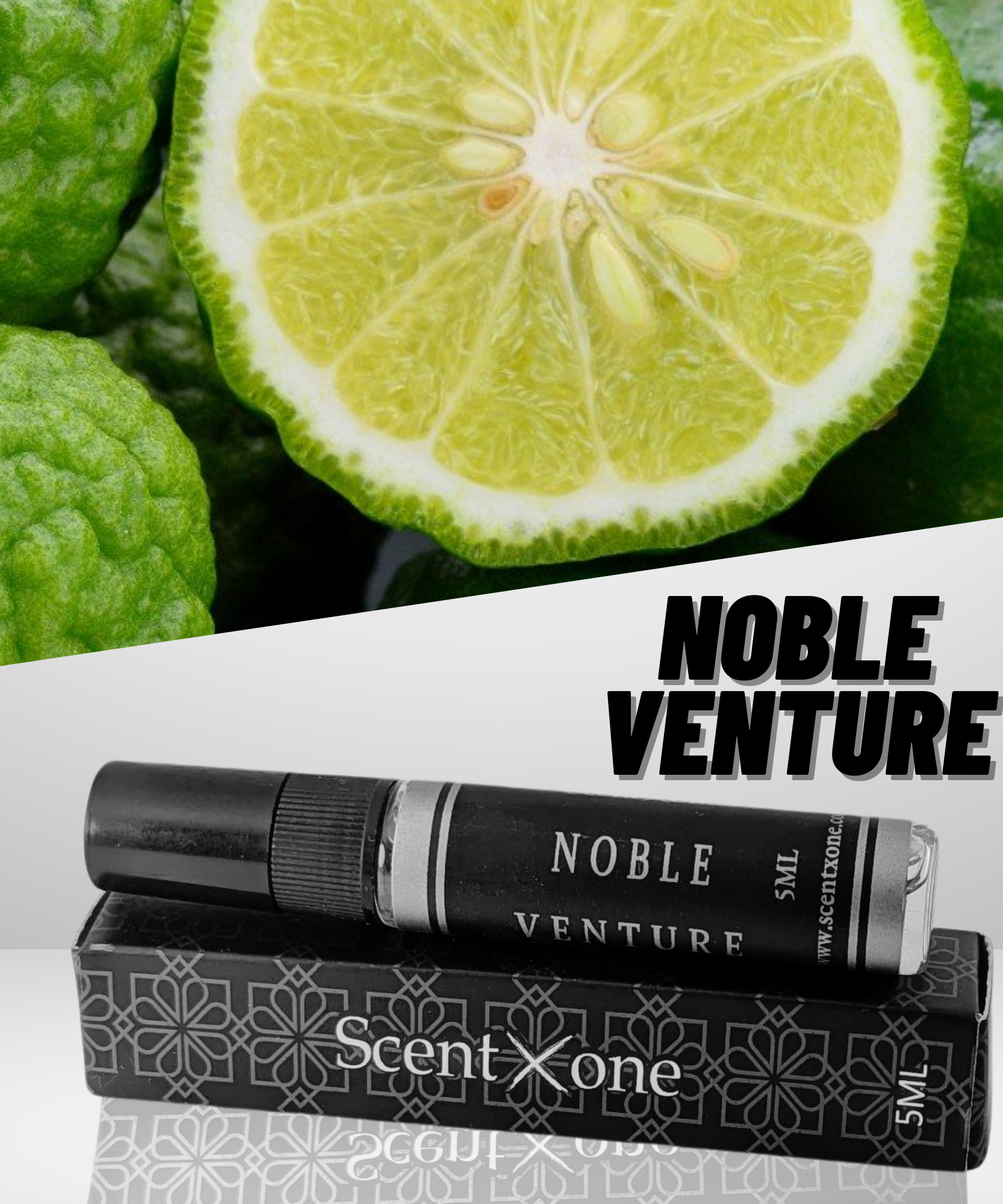 NOBLE VENTURE (POCKET FRIENDLY)