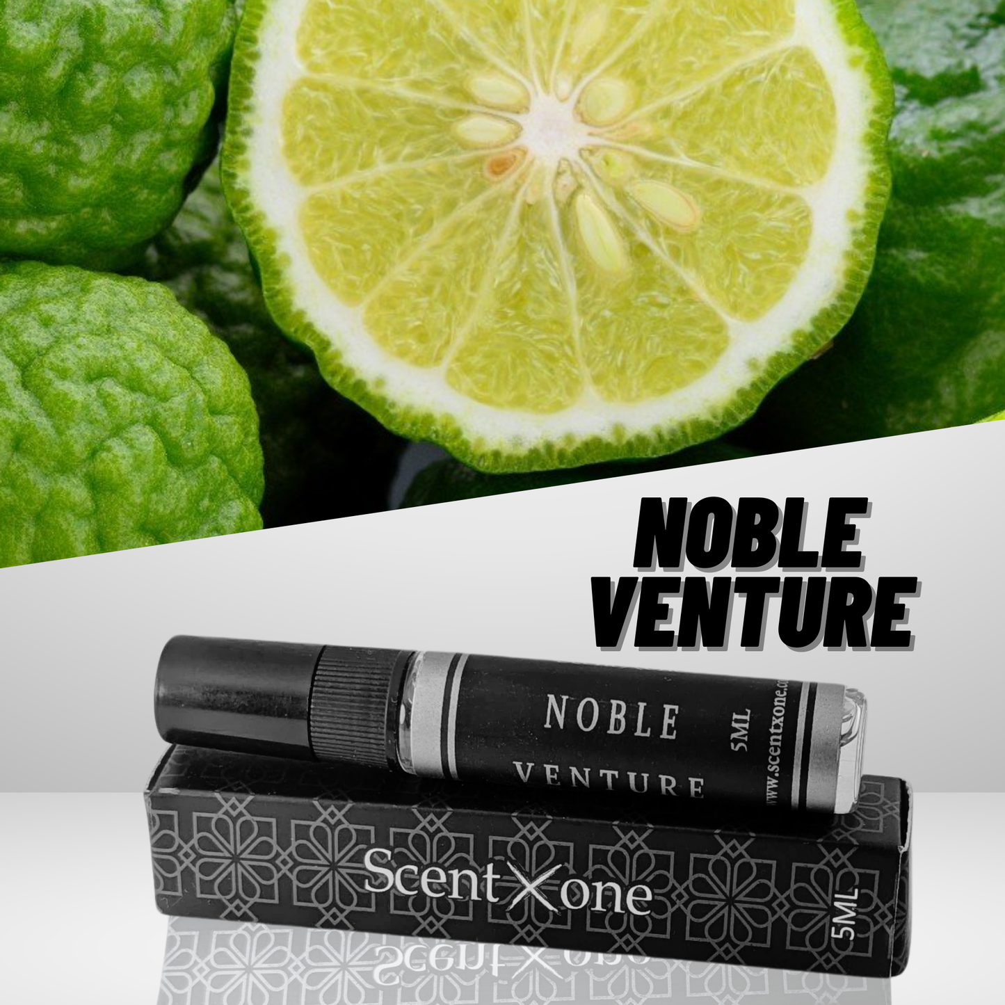 NOBLE VENTURE (POCKET FRIENDLY)