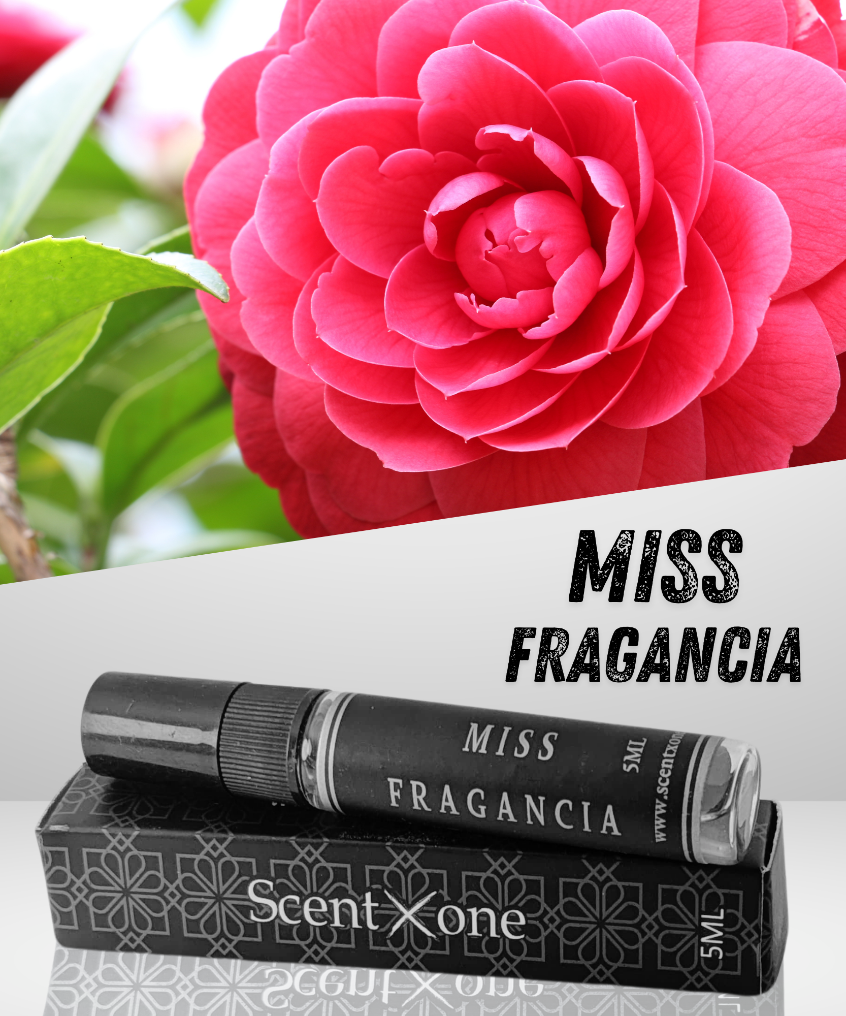 MISS FRAGANCIA (POCKET FRIENDLY)