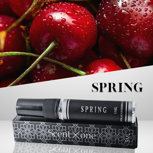 SPRING (POCKET FRIENDLY)