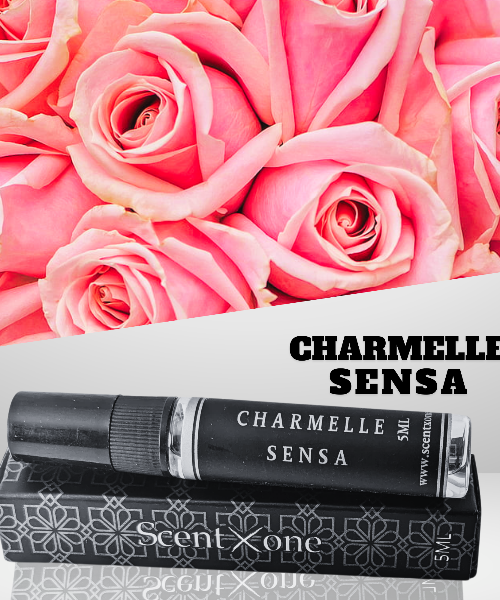 CHARMELLE SENSA (POCKET FRIENDLY)