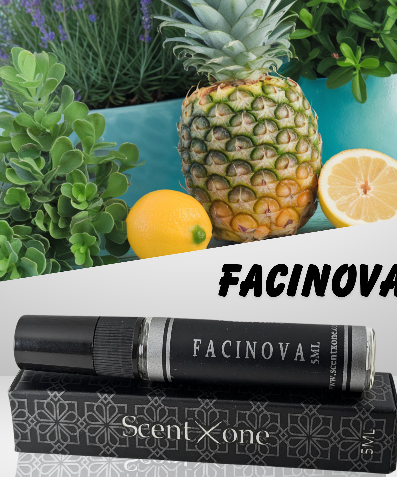 FACINOVA (POCKET FRIENDLY)