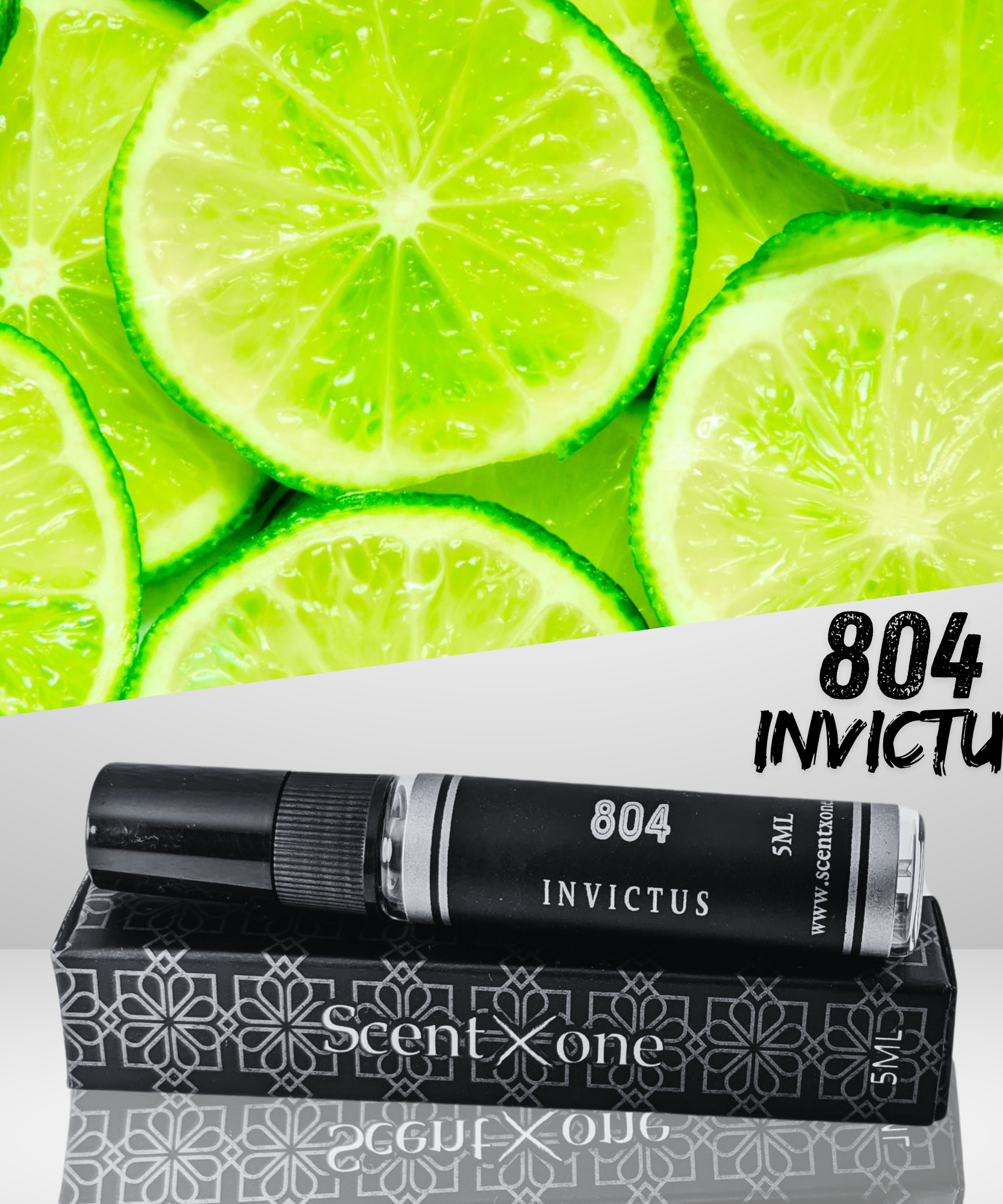 804 INVICTUS (POCKET FRIENDLY)