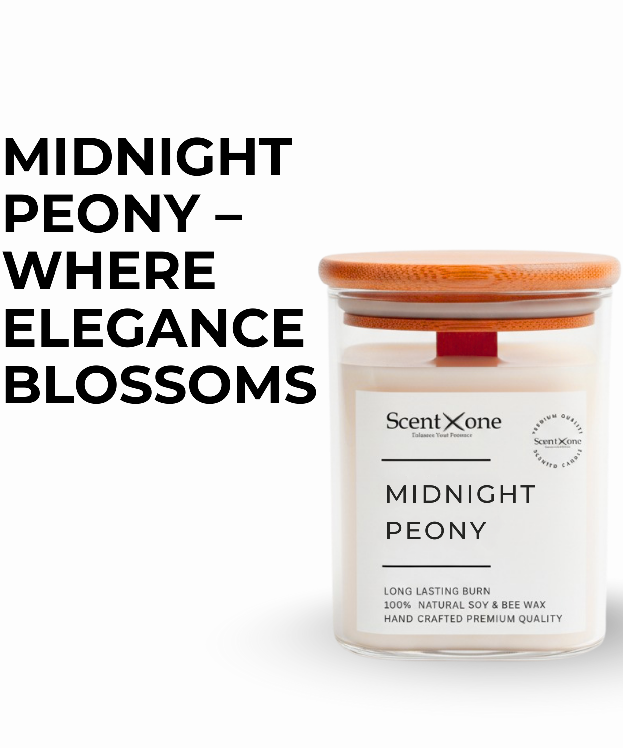 MIDNIGHT PEONY
