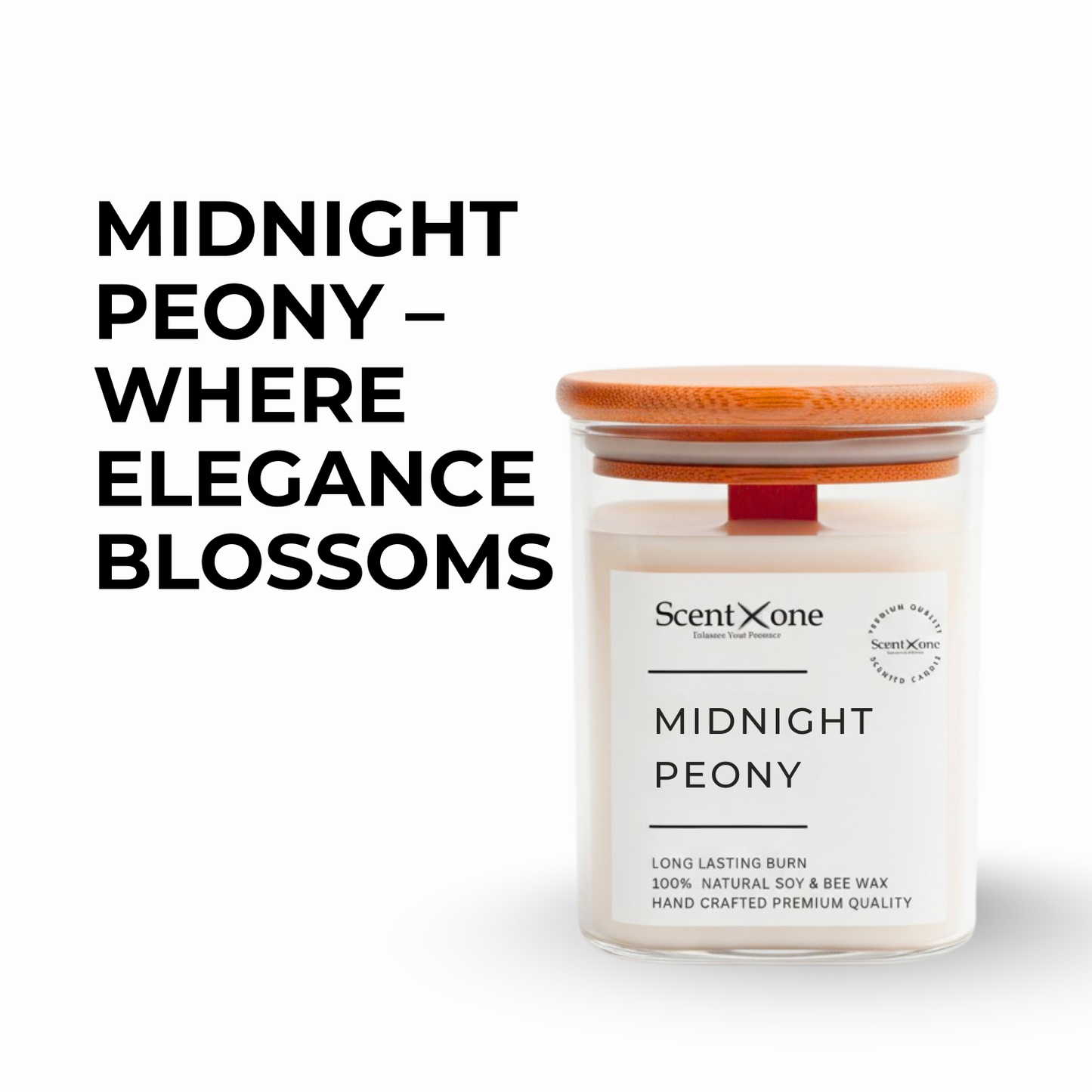 MIDNIGHT PEONY